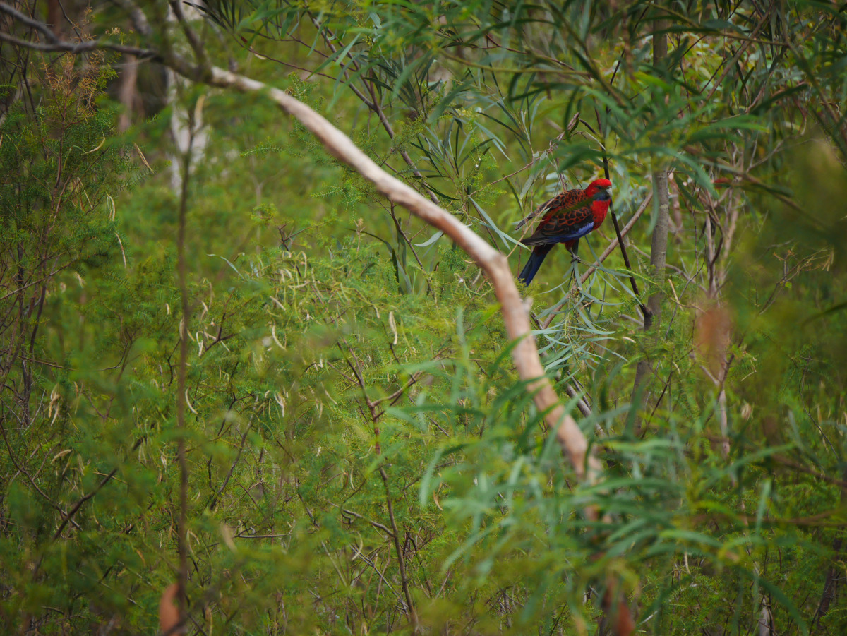 P1060490.JPG P1060490.JPG