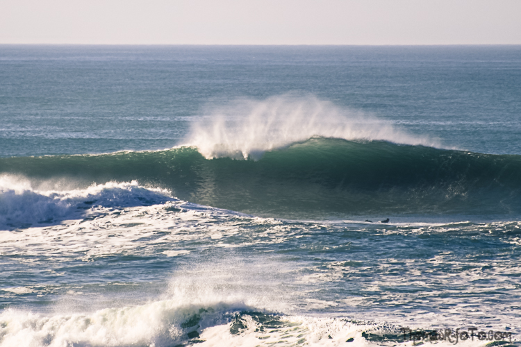 P_25122020-1.jpg