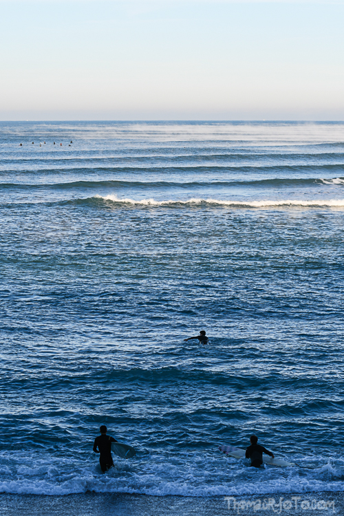 P_25122020-35.jpg P_25122020-35.jpg