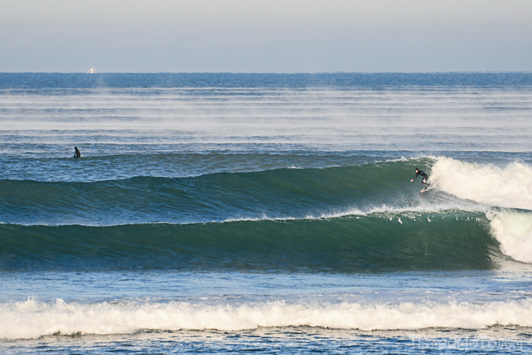 P_25122020-36.jpg P_25122020-36.jpg