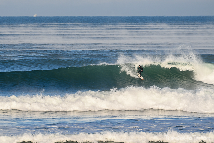 P_25122020-38.jpg P_25122020-38.jpg