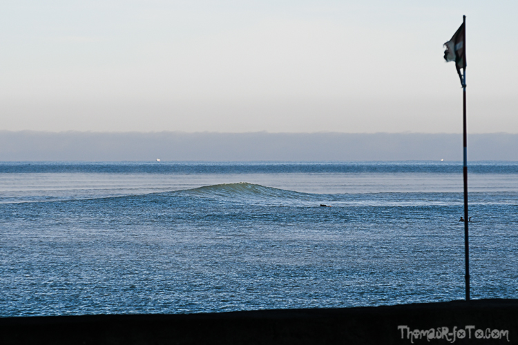 P_25122020-40.jpg P_25122020-40.jpg