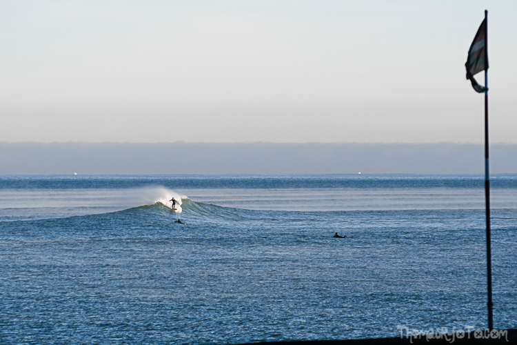 P_25122020-41.jpg P_25122020-41.jpg