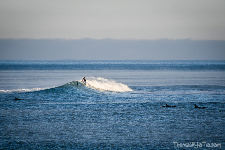 P_25122020-42.jpg P_25122020-42.jpg