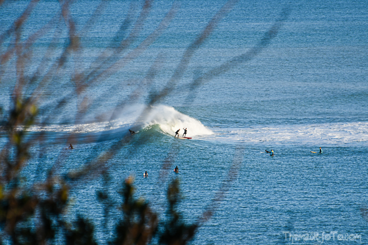 P_25122020-45.jpg P_25122020-45.jpg