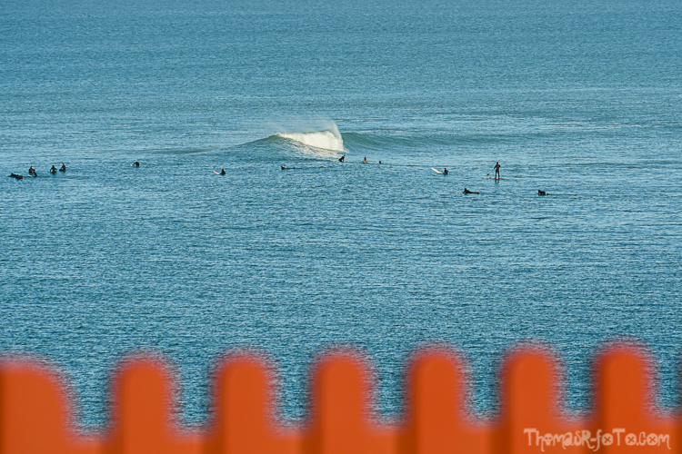 P_25122020-47.jpg