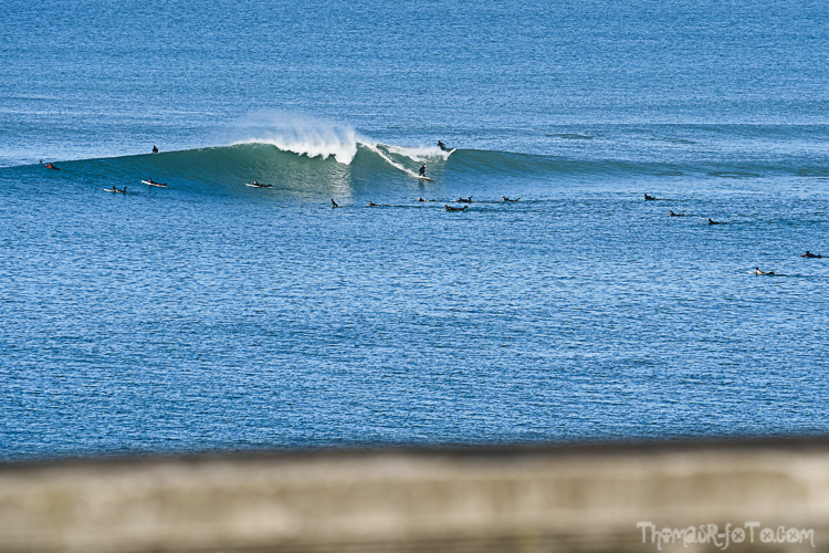 P_25122020-49.jpg P_25122020-49.jpg