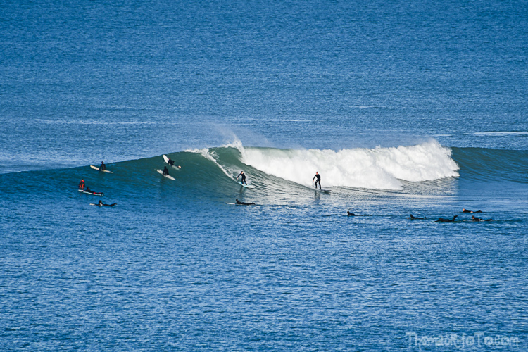 P_25122020-51.jpg P_25122020-51.jpg