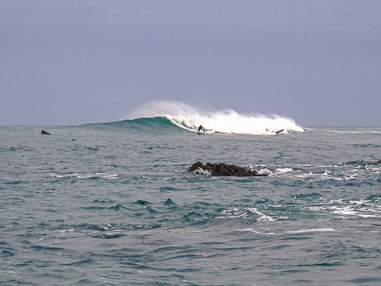 P_Li_25122020-4.jpg P_Li_25122020-4.jpg