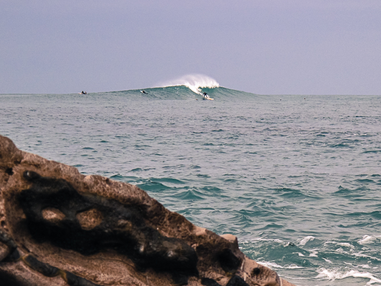 P_Li_25122020-5.jpg P_Li_25122020-5.jpg