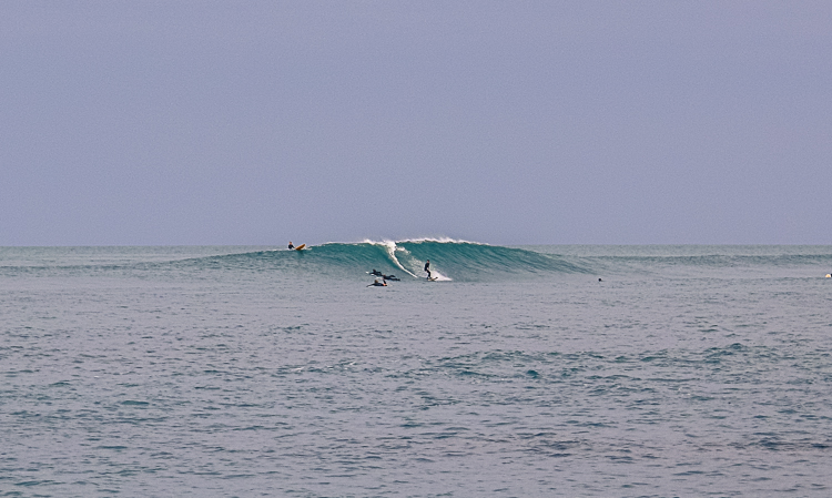 P_Li_25122020-9.jpg P_Li_25122020-9.jpg