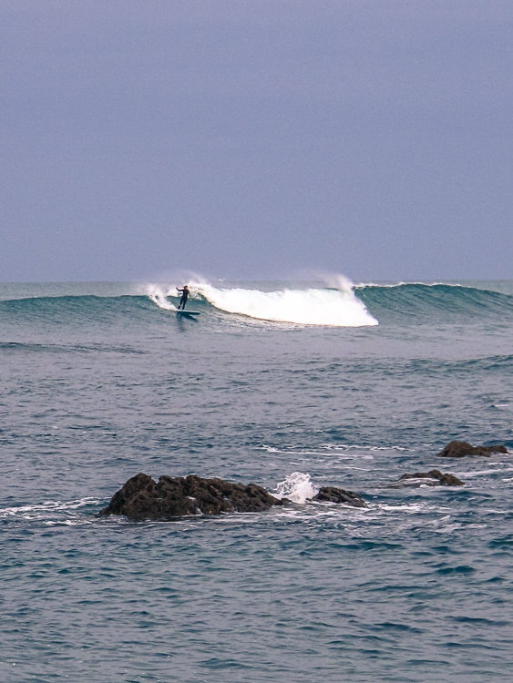 P_Li_25122020-12.jpg P_Li_25122020-12.jpg