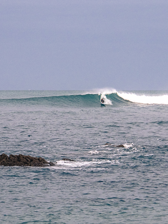 P_Li_25122020-13.jpg P_Li_25122020-13.jpg