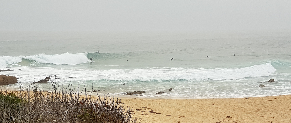20191229_094220.jpg
