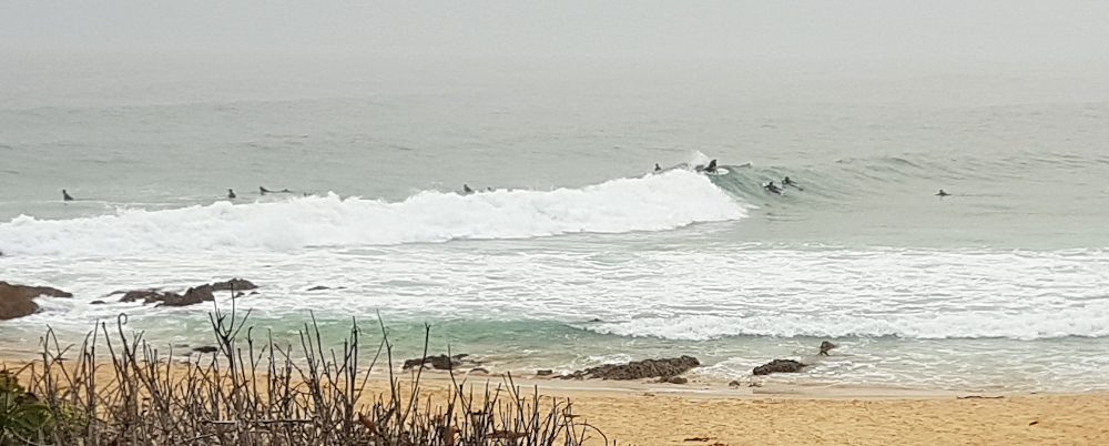 20191229_094222.jpg