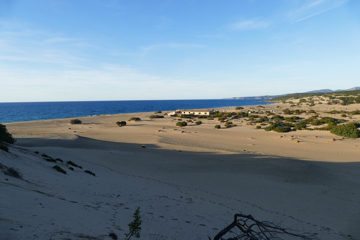 P1100014.JPG