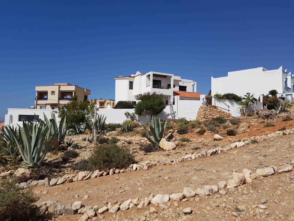 20200312_153502.jpg 20200312_153502.jpg