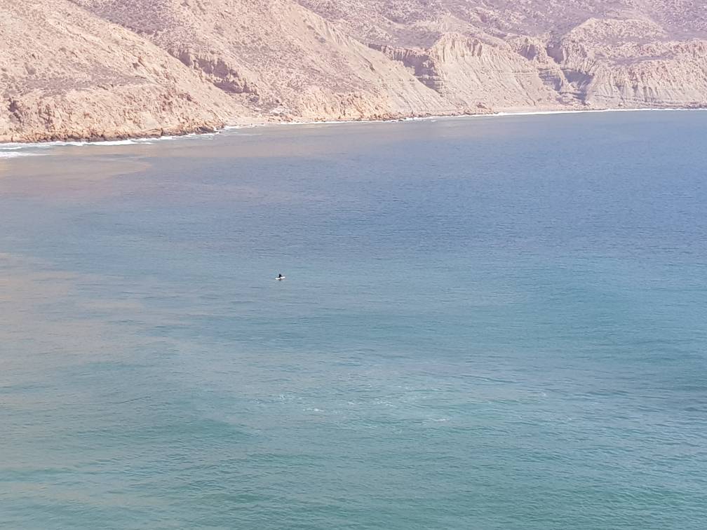 20200312_153941.jpg 20200312_153941.jpg