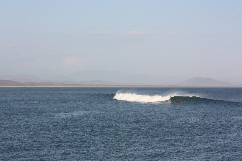 IMG_3161.JPG