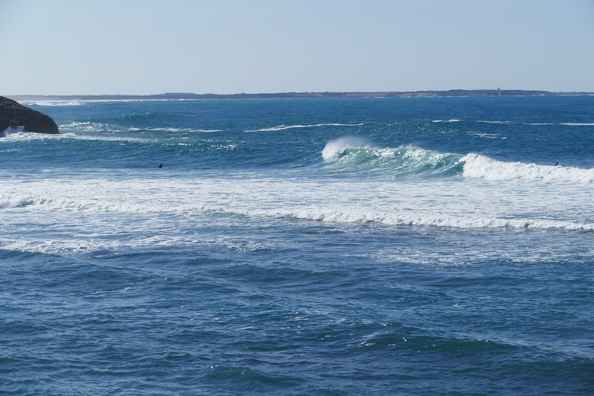 P1100093.JPG P1100093.JPG