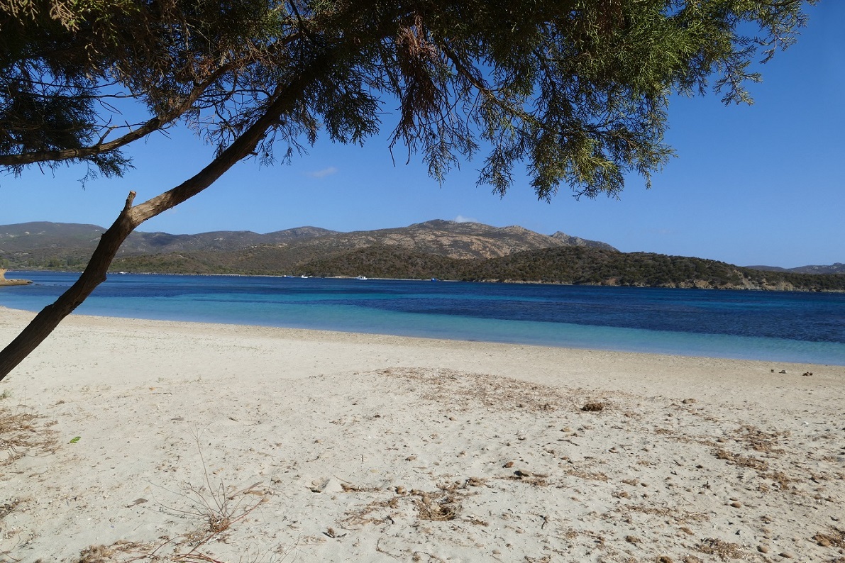 P1100207.JPG P1100207.JPG