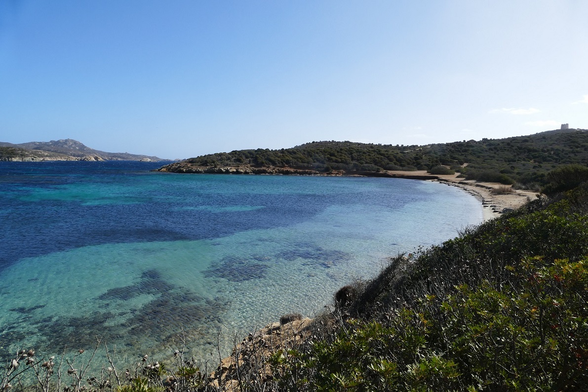 P1100211.JPG P1100211.JPG