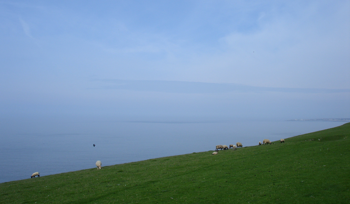 Ogmore by Sea 2370.JPG