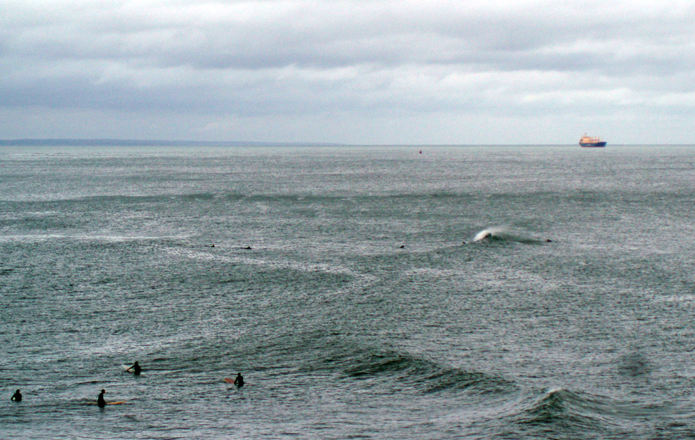 Crab' / Langland P8190018.JPG Langland P8190018.JPG