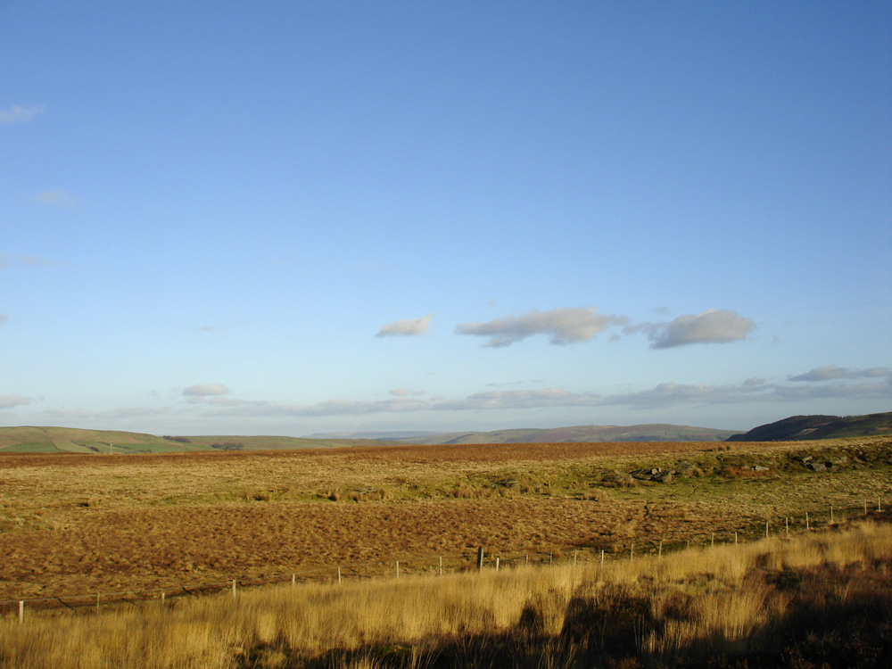 Rhondda 1243.JPG
