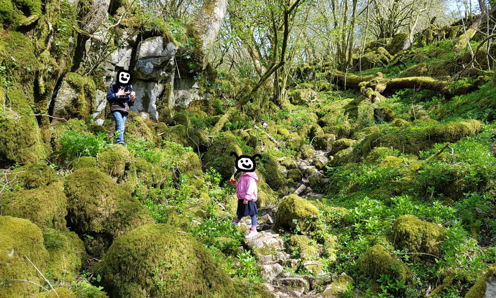 20170419_113049.jpg