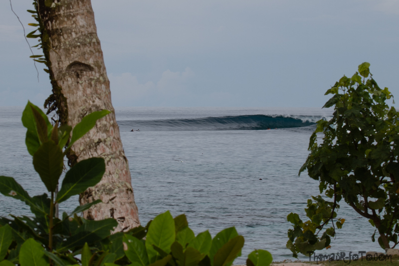 I0917_Sipora-22.jpg I0917_Sipora-22.jpg