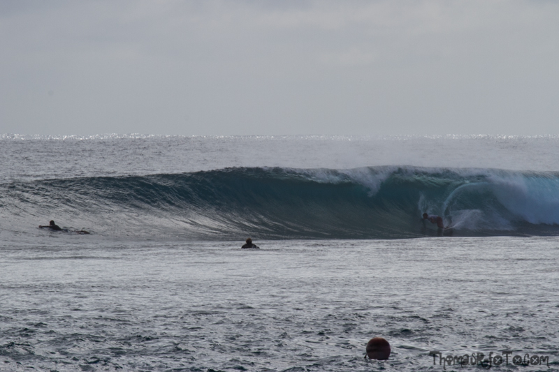 I0917_Sipora-24.jpg I0917_Sipora-24.jpg