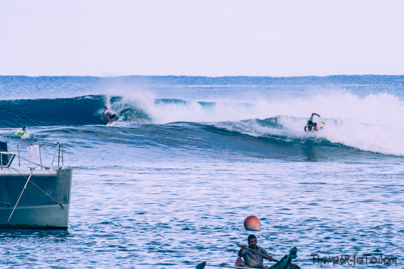 I0917_Sipora-28.jpg I0917_Sipora-28.jpg