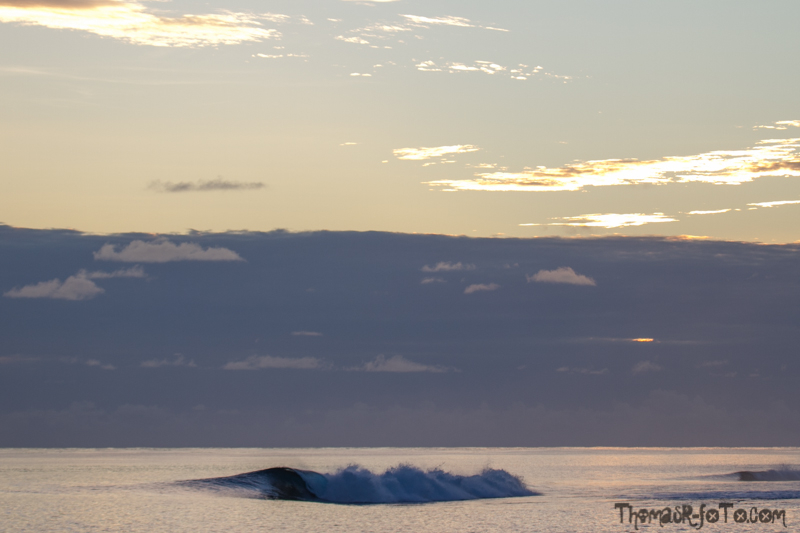 I0917_Sipora-30.jpg I0917_Sipora-30.jpg