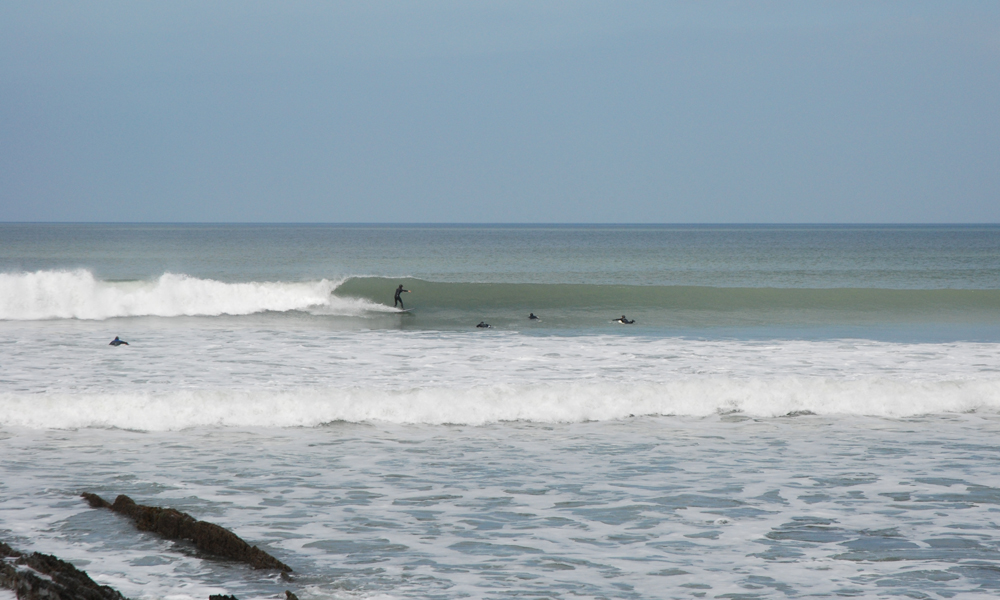 DSC_6290.JPG