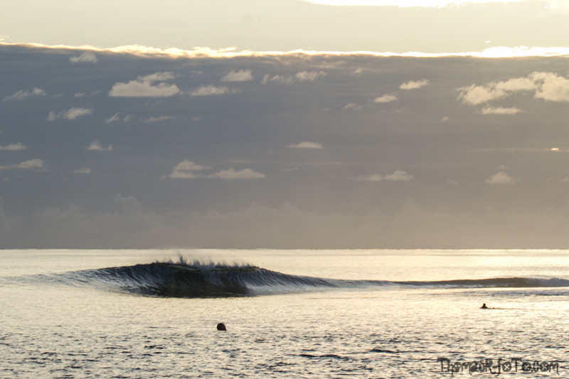 I0917_Sipora-31.jpg I0917_Sipora-31.jpg