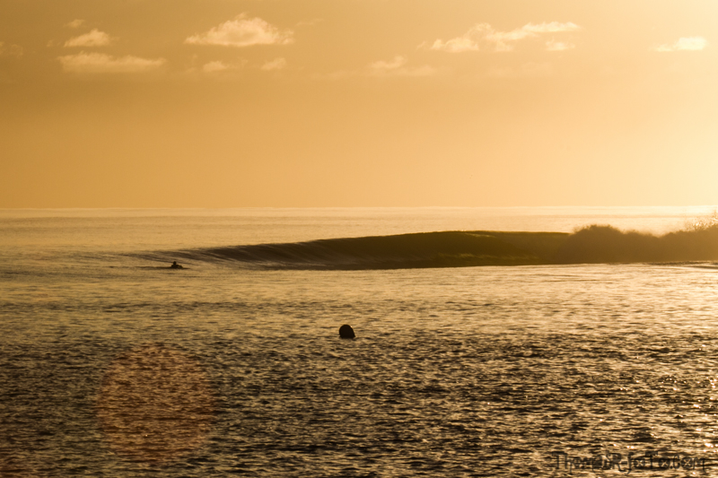 I0917_Sipora-32.jpg I0917_Sipora-32.jpg