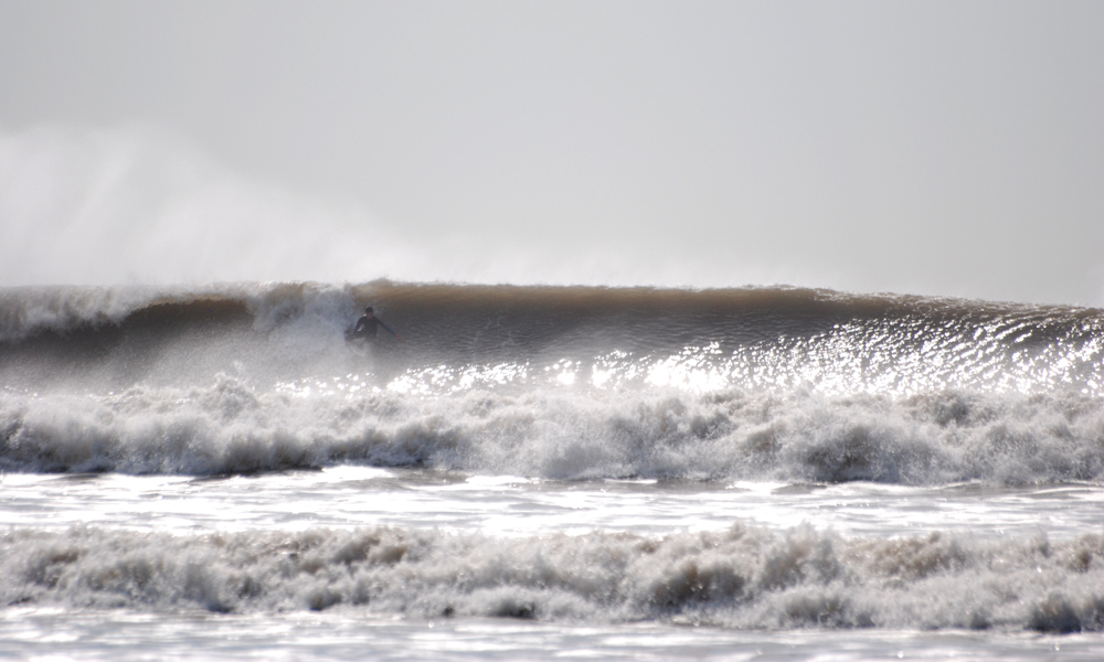 DSC_6005.JPG