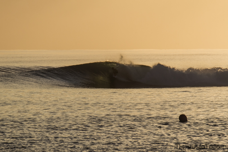 I0917_Sipora-33.jpg I0917_Sipora-33.jpg