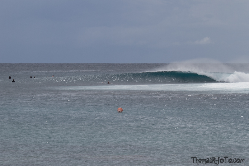 I0917_Sipora-34.jpg I0917_Sipora-34.jpg