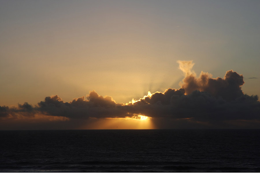 DSC_2257.jpg