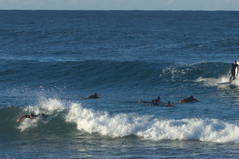 DSC_8846.jpg