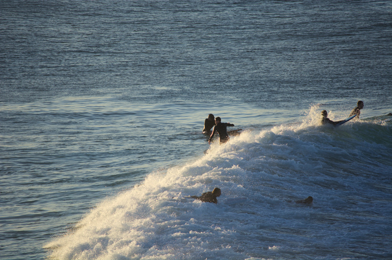 DSC_8866.jpg