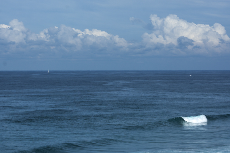 DSC_8990.jpg