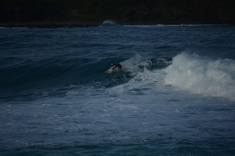 DSC_9560.jpg