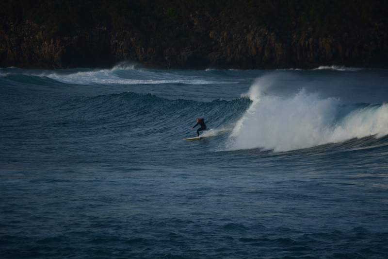 DSC_9584.jpg