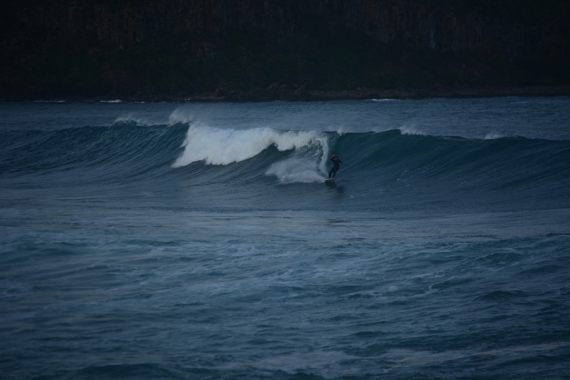 DSC_9627.jpg