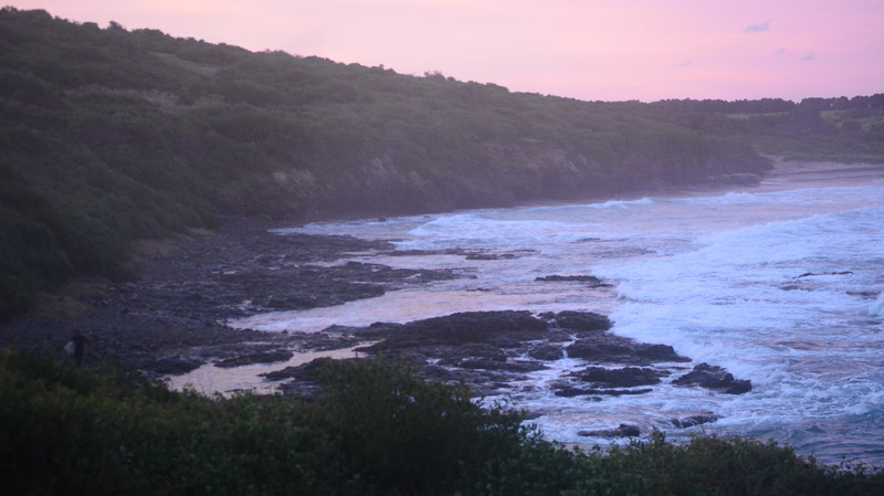 DSC_9656.jpg