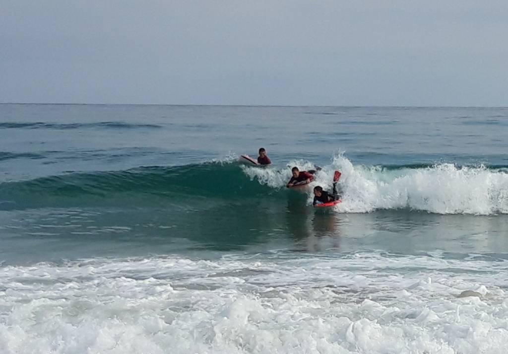 20200810_075601.jpg