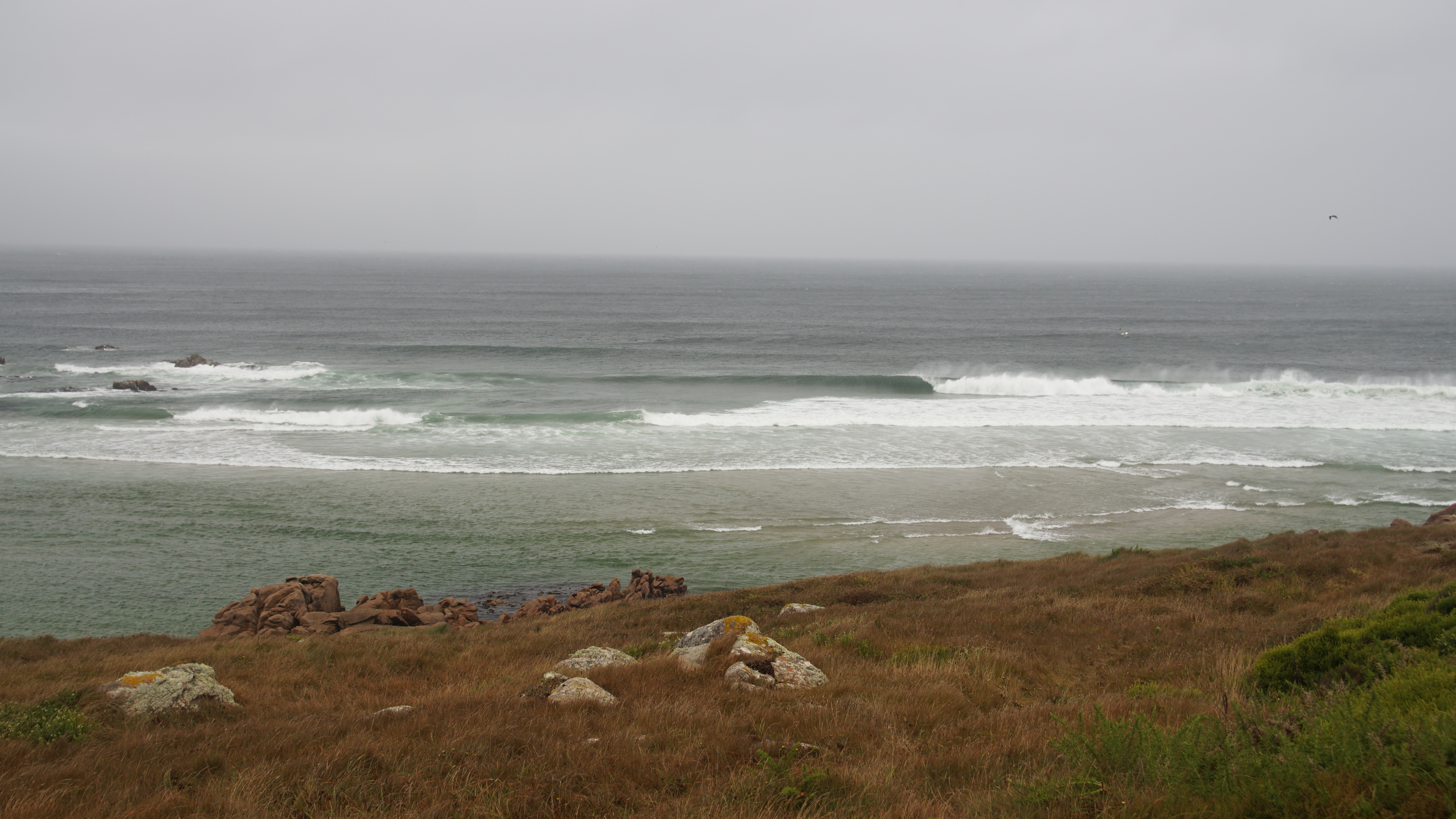 DSC03660.JPG